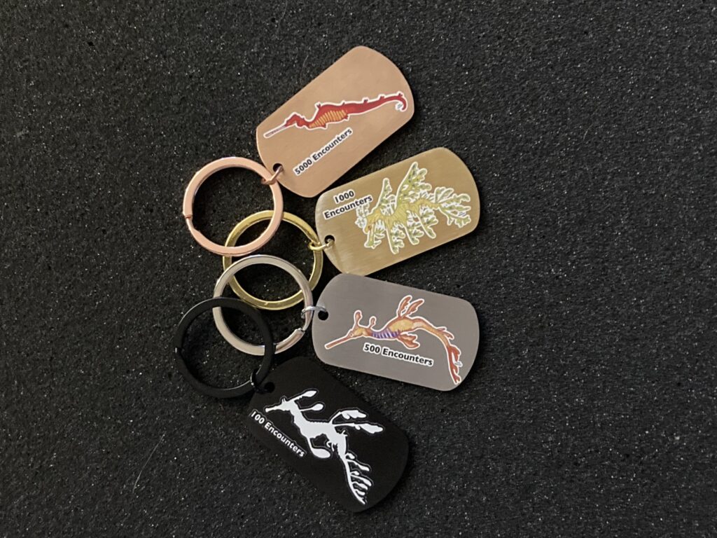 Image of four different keychains for encounter achievements