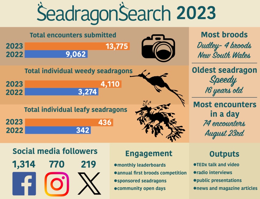 2023 SeadragonSearch Report Card
